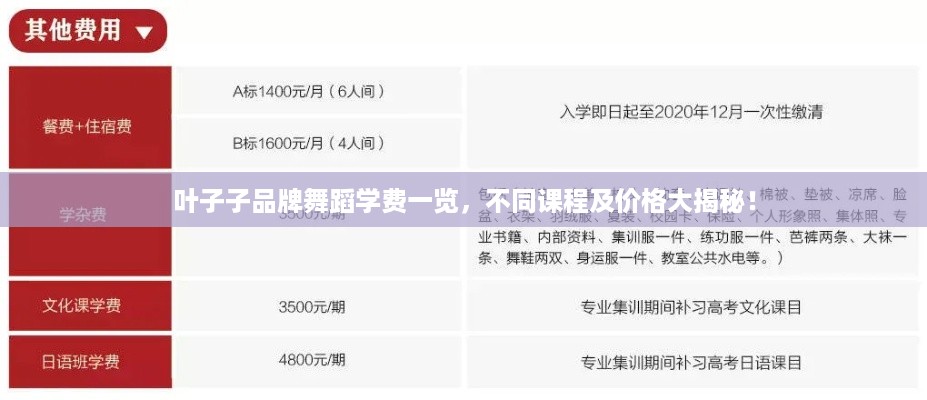 叶子子品牌舞蹈学费一览，不同课程及价格大揭秘！