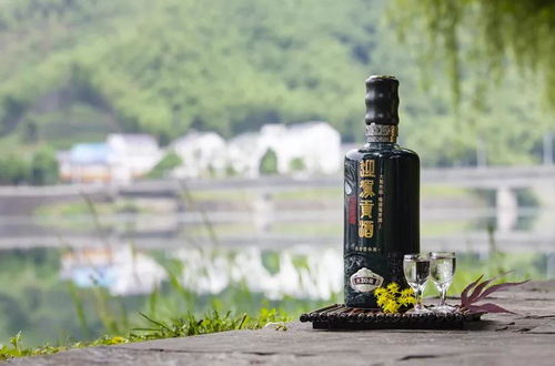 全球电脑品牌风云榜，谁主沉浮？