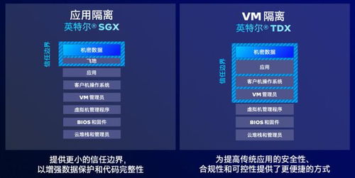 002服务器揭秘，云端世界的神秘标签解读