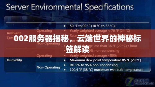 002服务器揭秘，云端世界的神秘标签解读