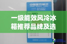 一级能效风冷冰箱推荐品牌及选购指南