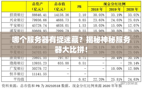 哪个服务器有捉迷藏？揭秘神秘服务器大比拼！