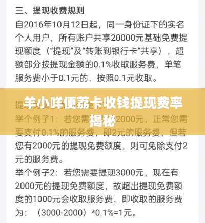 羊小咩便荔卡收钱提现费率揭秘