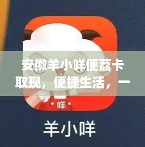 安徽羊小咩便荔卡取现，便捷生活，一触即发