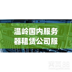 温岭国内服务器租赁公司服务概览