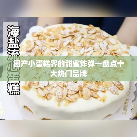 国产小蛋糕界的甜蜜炸弹—盘点十大热门品牌