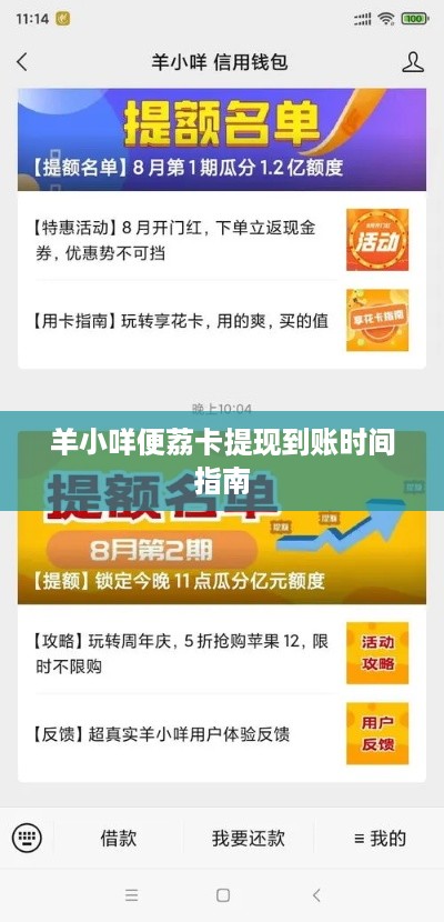 羊小咩便荔卡提现到账时间指南