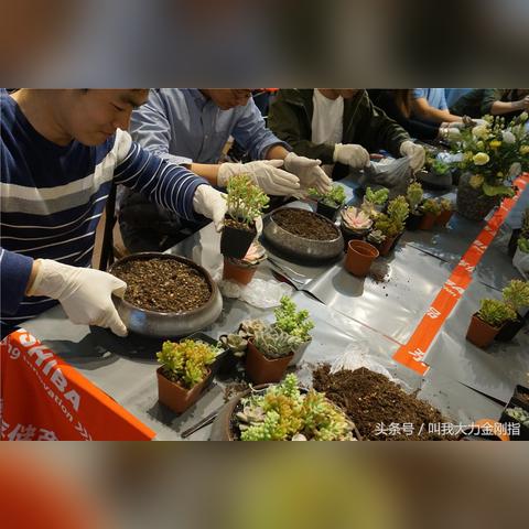 深圳云计算服务器租赁公司—您的数据存储专家