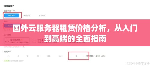 国外云服务器租赁价格分析，从入门到高端的全面指南