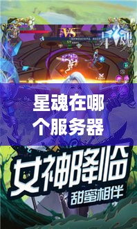 星魂在哪个服务器