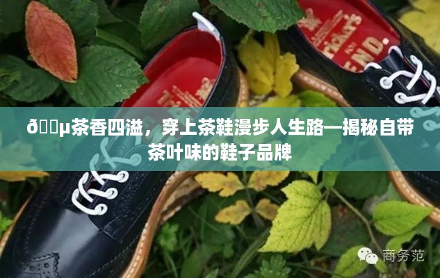 🍵茶香四溢，穿上茶鞋漫步人生路—揭秘自带茶叶味的鞋子品牌