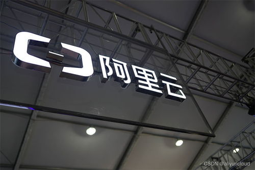 苏州租赁企业如何高效利用阿里云服务器资源