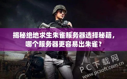 揭秘绝地求生朱雀服务器选择秘籍，哪个服务器更容易出朱雀？
