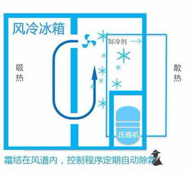 不同品牌冰箱温度差异大揭秘，选购指南与案例分析