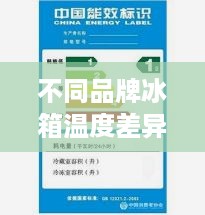 不同品牌冰箱温度差异大揭秘，选购指南与案例分析