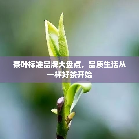 茶叶标准品牌大盘点，品质生活从一杯好茶开始