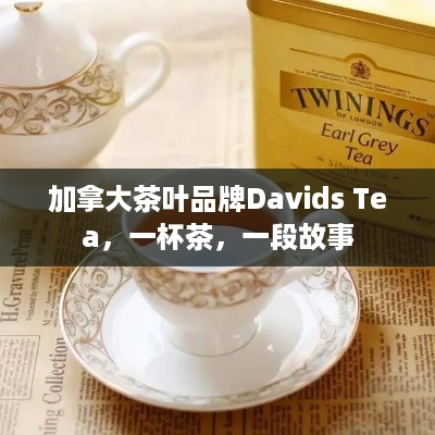 加拿大茶叶品牌Davids Tea，一杯茶，一段故事