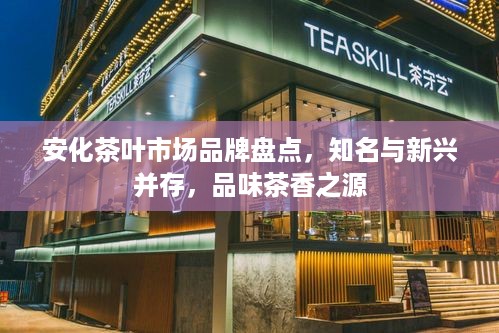 安化茶叶市场品牌盘点，知名与新兴并存，品味茶香之源