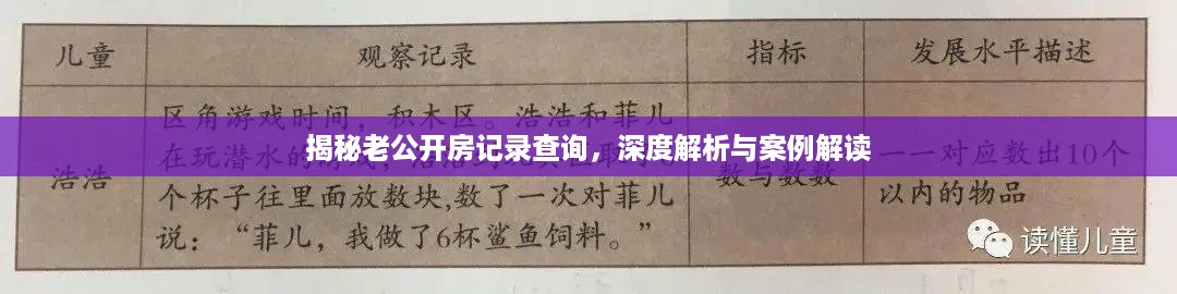 揭秘老公开房记录查询，深度解析与案例解读