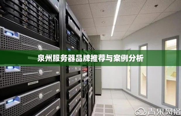 泉州服务器品牌推荐与案例分析