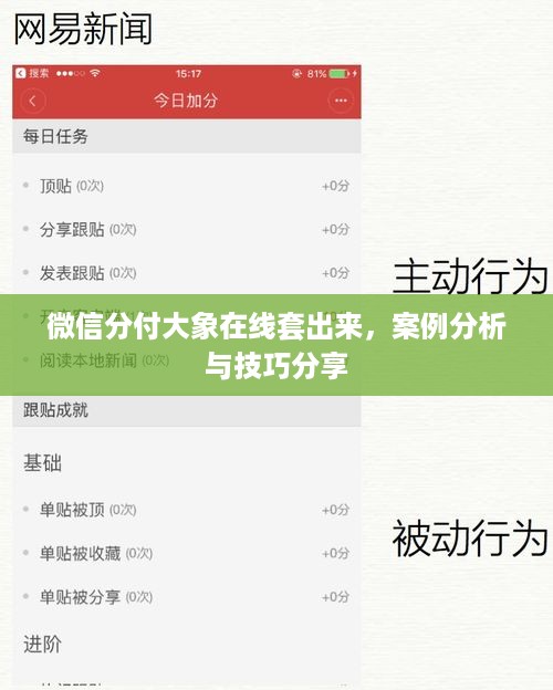 微信分付大象在线套出来，案例分析与技巧分享
