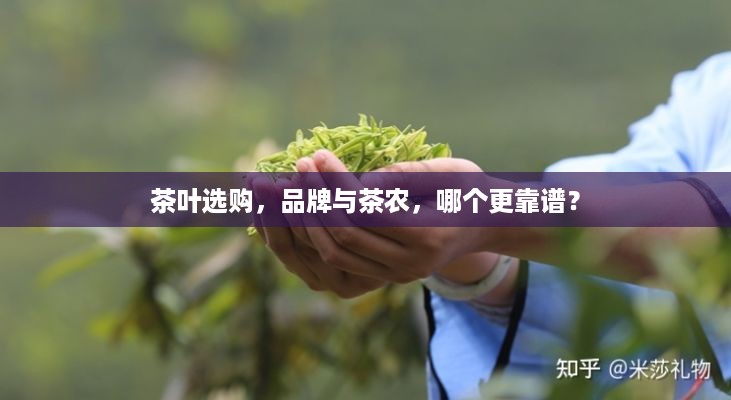 茶叶选购，品牌与茶农，哪个更靠谱？