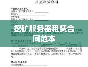 挖矿服务器租赁合同范本