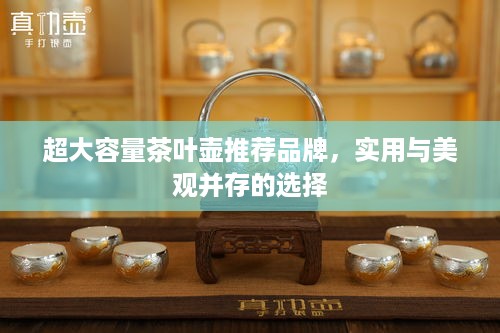超大容量茶叶壶推荐品牌，实用与美观并存的选择