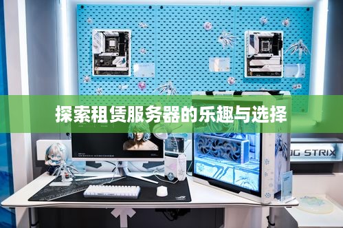 探索租赁服务器的乐趣与选择