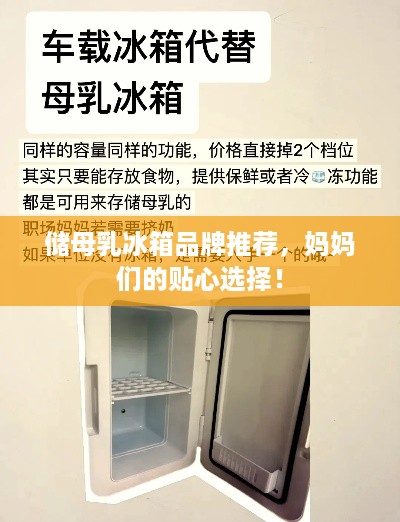 储母乳冰箱品牌推荐，妈妈们的贴心选择！