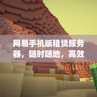 网易手机版租赁服务器，随时随地，高效管理