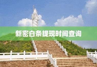 新密白条提现时间查询