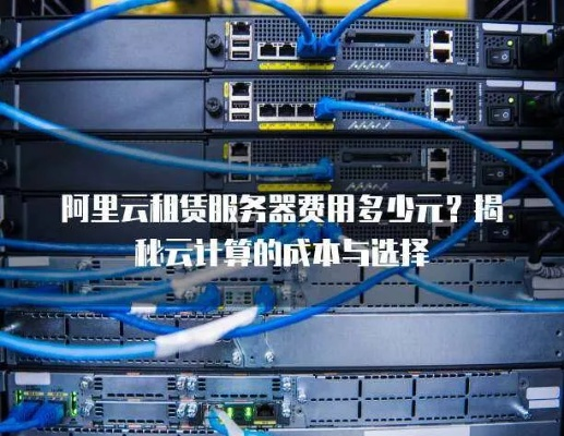 阿里云服务器租赁费用详解，成本、选择与案例解读