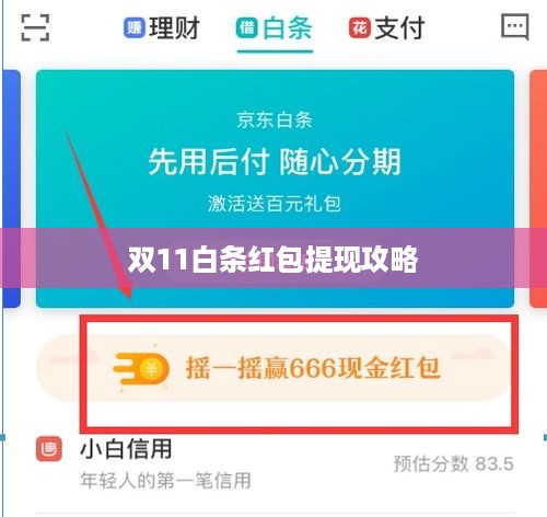 双11白条红包提现攻略