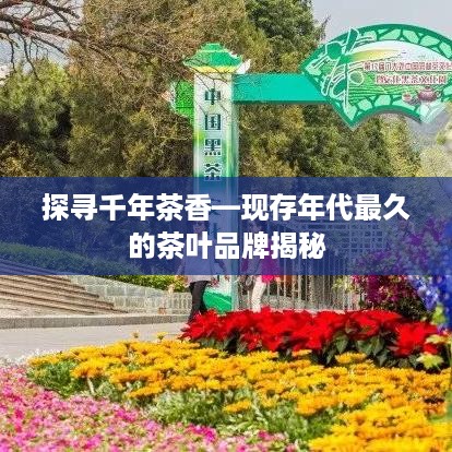 探寻千年茶香—现存年代最久的茶叶品牌揭秘