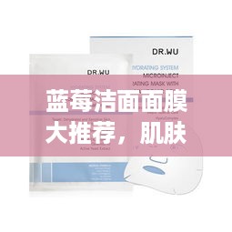 蓝莓洁面面膜大推荐，肌肤焕发蓝莓光彩！