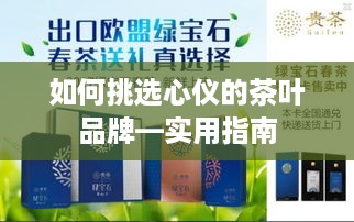 如何挑选心仪的茶叶品牌—实用指南