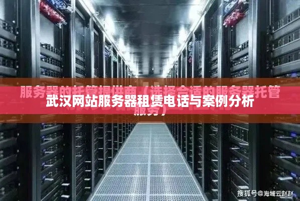 武汉网站服务器租赁电话与案例分析