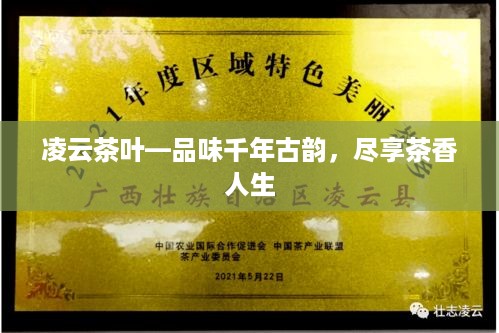 凌云茶叶—品味千年古韵，尽享茶香人生