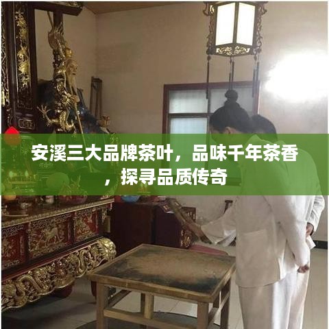 安溪三大品牌茶叶，品味千年茶香，探寻品质传奇