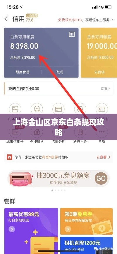 上海金山区京东白条提现攻略
