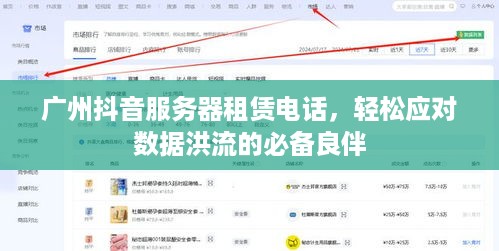 广州抖音服务器租赁电话，轻松应对数据洪流的必备良伴