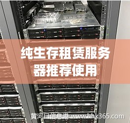 纯生存租赁服务器推荐使用