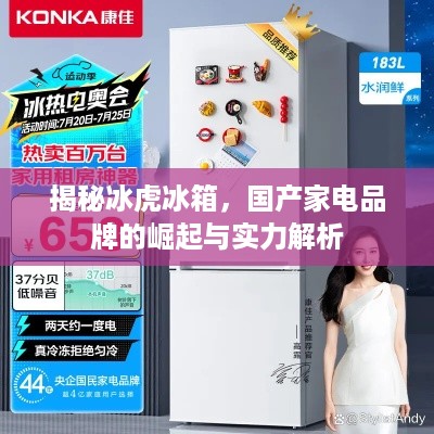 揭秘冰虎冰箱，国产家电品牌的崛起与实力解析