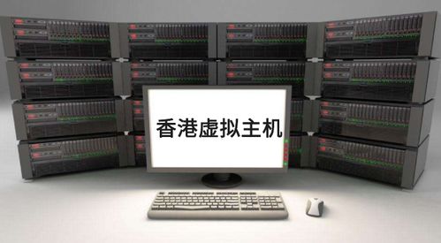 主机和服务器租赁项目概览
