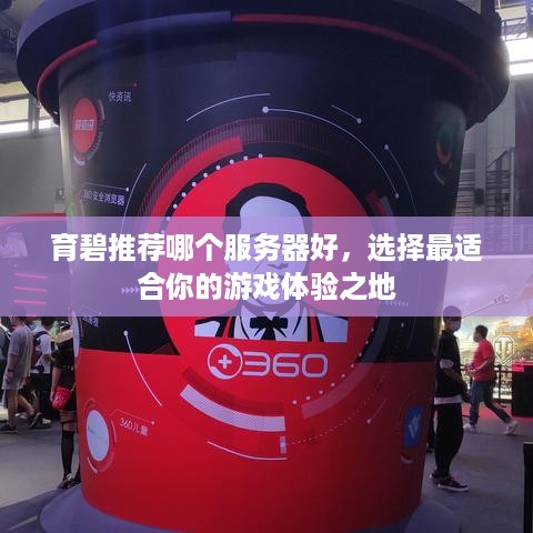 育碧推荐哪个服务器好，选择最适合你的游戏体验之地