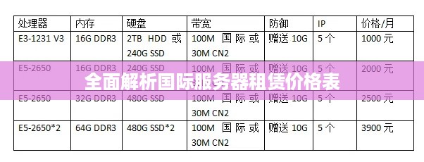 全面解析国际服务器租赁价格表