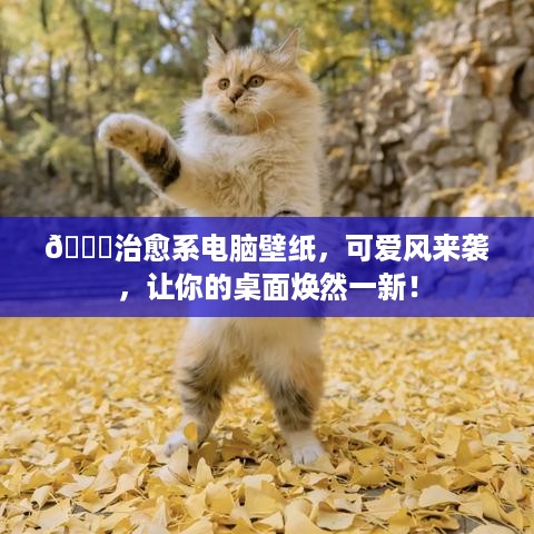 🌟治愈系电脑壁纸，可爱风来袭，让你的桌面焕然一新！