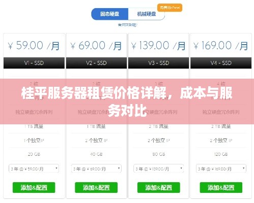 桂平服务器租赁价格详解，成本与服务对比