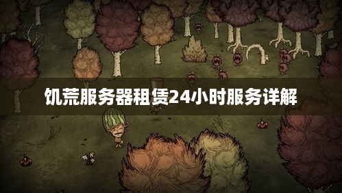 饥荒服务器租赁24小时服务详解